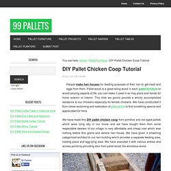DIY Pallet Chicken Coop Tutorial