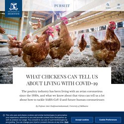 UNIMELB_EDU_AU - FEV 2021 - WHAT CHICKENS CAN TELL US ABOUT LIVING WITH COVID-19 - The poultry industry has been living with an avian coronavirus since the 1930s, and what we know about that virus can tell us a lot about how to tackle SARS-CoV-2 and futur