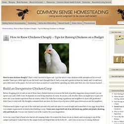 How to Raise Chickens Cheaply - Tips for Raising Chickens on a Budget