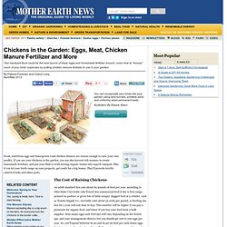 Chickens in the Garden: Eggs, Meat, Chicken Manure Fertilizer and More - Organic Gardening