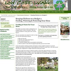 Keeping Chickens on a Budget, Feeding, Watering and Protecting Your Chickens, - Low Cost Living