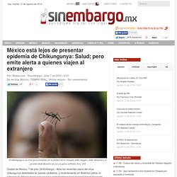 México está lejos de presentar epidemia de Chikungunya: Salud; pero emite alerta a quienes viajen al extranjero
