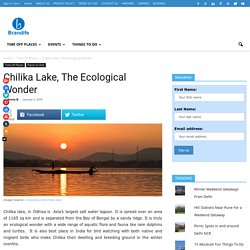 Chilika Lake, The Ecological Wonder