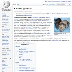 Chimera (genetics)