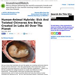 Human-Animal Hybrids: Sick And Twisted Chimeras Are Being Created In Labs All Over The Planet