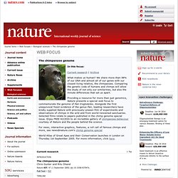 Chimp genome : Web focus : Nature