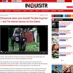 Chimpanzee Gives Jane Goodall The Best Hug Ever — And The Internet Swoons As One