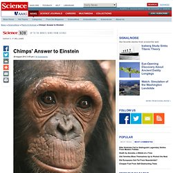 Chimps' Answer to Einstein