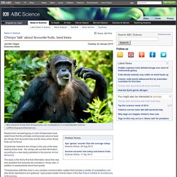 Chimps 'talk' about favourite fruits, best trees › News in Science (ABC Science)
