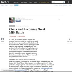 China and its coming Great Milk Battle
