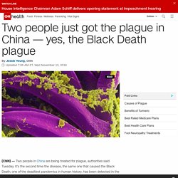 In China two people got the plague. Why is it still a thing?