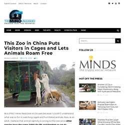 This Zoo in China Puts Visitors in Cages and Lets Animals Roam Free