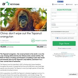 texte de la pétition: China: don't wipe out the Tapanuli orangutan