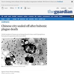 Chinese city sealed off after bubonic plague death