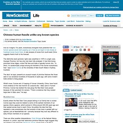 Chinese human fossils unlike any known species - life - 14 March 2012