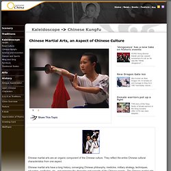 Chinese Martial Arts, an Aspect of Chinese Culture - China culture