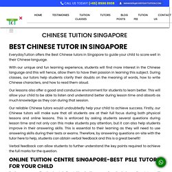 Chinese Tuition Singapore - Everyday Tuition