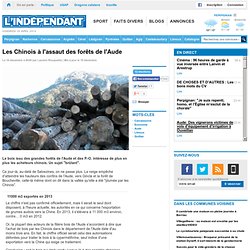 Les Chinois à l'assaut des forêts de l'Aude