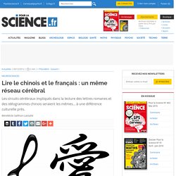 Lire le chinois et le français : un même réseau cérébral