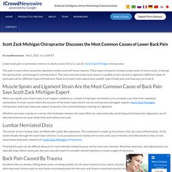 Scott Zack Michigan Chiropractor Discusses the Most Common Causes of Lower Back Pain