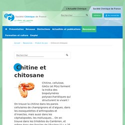 Chitine et chitosane - Société Chimique de France