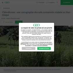 Chlordécone : une cartographie des sols contaminés réalisée en Martinique...