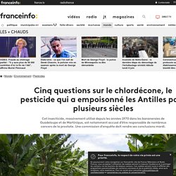 Cinq questions sur le chlordécone, le pesticide qui a empoisonné les Antilles pour plusieurs siècles...