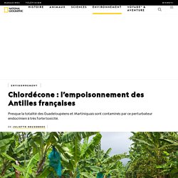 Chlordécone : l’empoisonnement des Antilles françaises