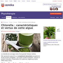 Chlorella : caractéristiques et vertus de cette algue