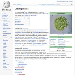 Chloroplastida