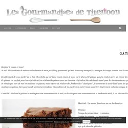 Gâteau Vegan au Chocolat (sans beurre ni oeuf) - Les Gourmandises de Titenoon