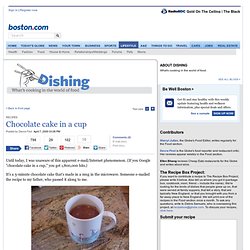 Chocolate cake in a cup - Dishing - Boston food blog