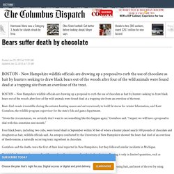 Bears suffer death by chocolate - News - The Columbus Dispatch - Columbus, OH
