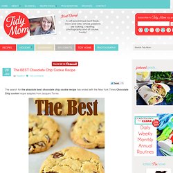 The Best Chocolate Chip Cookie Recipe