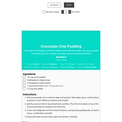 Chocolate Chia Pudding - FeelGoodFoodie