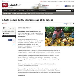 NGOs slam cocoa and chocolate industry inaction over child labour
