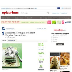 Chocolate Meringue and Mint Chip Ice Cream Cake Recipe at Epicurious