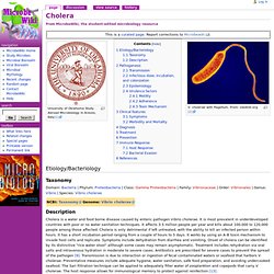 Cholera - MicrobeWiki