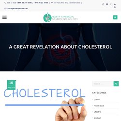 U.S. Government withdraw warnings against Cholesterol