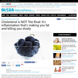Natural News Blogs Cholesterol is NOT The Rival: It’s inflammation that’s making you fat and killing you slowly