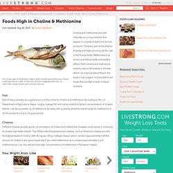 Foods High In Choline & Methionine