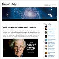 Noam Chomsky on the Dangers of Standardized Testing