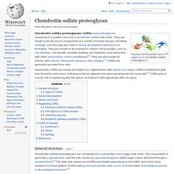 Chondroitin sulfate proteoglycan