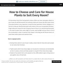 How to Choose and Care for House Plants to Suit Every Room? – Flat & Apartment Interior Design