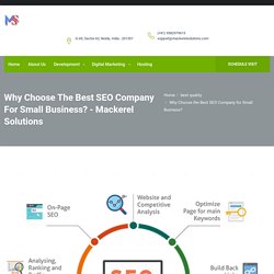 Why Choose the Best SEO Company for Small Business?