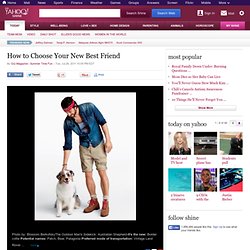 How to Choose Your New Best Friend