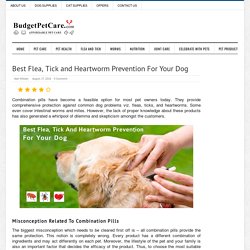 Choose the Best Flea, Tick and Heartworm Prevention for Dogs