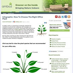 How To Choose The Right Office Plant Infographic