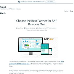 Choose the Best Partner for SAP Business One – Aspert