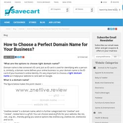 How to Choose a Perfect Domain Name for Your Business? -